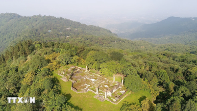 Trasferimento della gestione del Parco Nazionale di Ba Vi al Comitato Popolare di Hanoi.