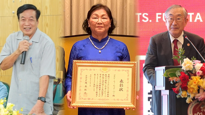 Japonské medaile udělené učitelům z Hanojské univerzity, Univerzity zahraničního obchodu a Vietnamsko-japonské univerzity.