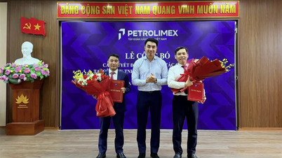 Majlis mengumumkan keputusan kakitangan di Petrolimex Phu Tho