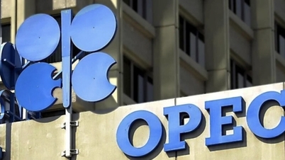 Die VAE verlassen die OPEC/OPEC+: Ein Zeichen für Risse in der globalen Ölordnung.