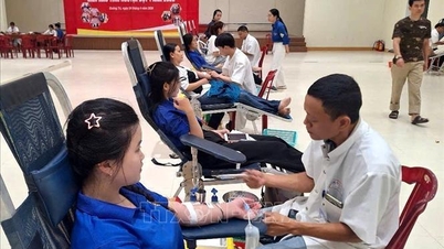 Quang Tri: Verbreitet Freundlichkeit und erhält über 660 Blutkonserven.