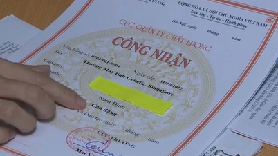 O processo de reconhecimento do diploma é realizado inteiramente online.