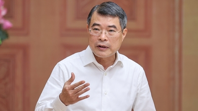 Thủ tướng: Số hóa, làm sạch dữ liệu đất đai, thiết lập cơ chế xử lý đất bỏ hoang
