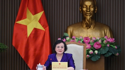 Przeniesienie istniejącej Wioski Kulturalno-Turystycznej Wietnamskich Grup Etnicznych do Hanoi w celu zarządzania.