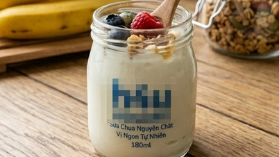 Milyen előnyei vannak a joghurt reggelizésének?