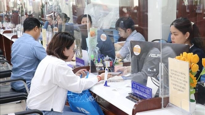 제안 사항에는 행정 절차 처리 목표 설정, 업무 과부하 감소, 실수에 대한 두려움 완화 등이 포함됩니다.