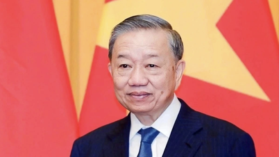 Tổng Bí thư, Chủ tịch nước Tô Lâm sẽ thăm cấp Nhà nước tới Cộng hòa Ấn Độ