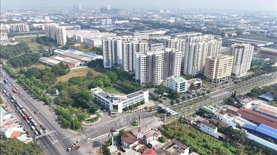 Ledakan Investasi Asing Langsung (FDI) di Kota Ho Chi Minh - Bagian terakhir: Kisah mempertahankan investasi miliaran USD.