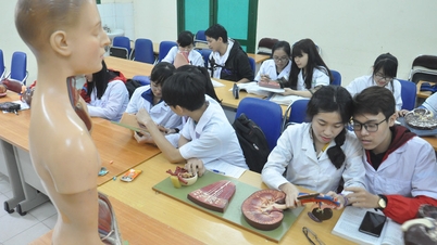 Trường Đại học Y Hà Nội lần đầu xét điểm thi đánh giá năng lực