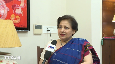 Relazioni tra Vietnam e India: solide fondamenta, ampie prospettive.