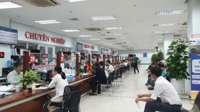 Da Nang effectue toutes les démarches administratives liées à l'immatriculation des entreprises par signature électronique.