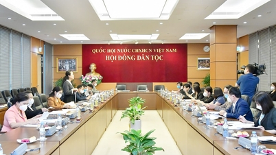 Hỏi - Đáp 8