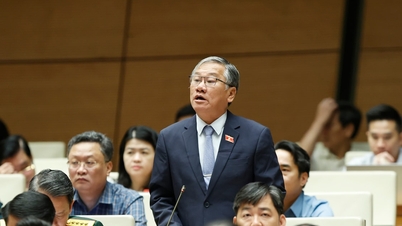 地域間の連携は、拘束力のある協定と共通の利益を伴う、開発における必須事項である。