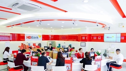 HDBank a atins 6.107 miliarde VND în primul trimestru, demonstrând o profitabilitate ridicată pe o bază de capital solidă.