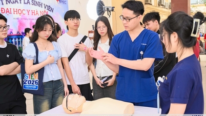 Warum hat die Medizinische Universität Hanoi die Fächerkombination C00 für den Studiengang Psychologie abgeschafft?