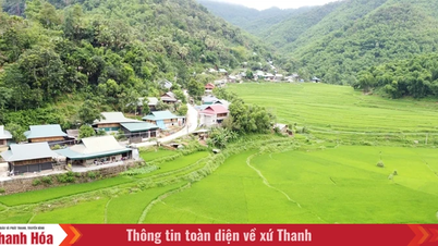 ताम थान सीमावर्ती कम्यून में विकास की दिशाएँ खोजना।