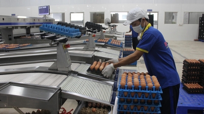 Aufbau einer Arbeitskultur, die mit der Entwicklung der vietnamesischen Kultur verknüpft ist: Teil 2 – Beseitigung von „Engpässen“