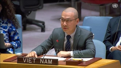 L'ambasciatore Nguyen Hoang Nguyen si esprime sulle tensioni in Medio Oriente.