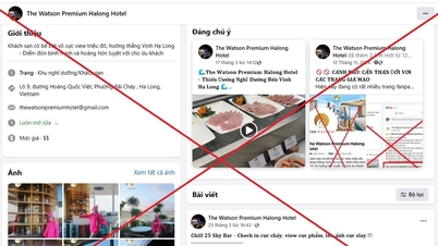 Uważaj na fałszywe strony fanów, które oszukują ludzi i nakłaniają ich do rezerwacji pokoi hotelowych online.