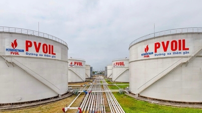 PVOIL siap meluncurkan penjualan bahan bakar bioetanol E10 secara nasional mulai pertengahan Mei 2026.