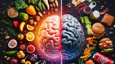 Consumir muchos alimentos procesados ​​reduce la capacidad de concentración del cerebro.