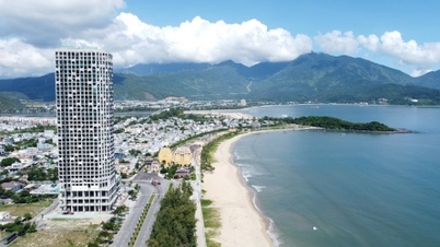 Da Nang mobiliza especialistas e cientistas para contribuir com o plano diretor da cidade.