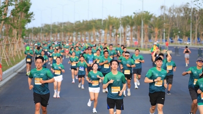 קאן ג'יו הייתה יפהפייה קסומה ביום תחרות מרתון VnExpress Green Paradise 2026.