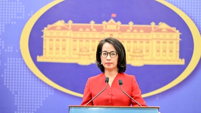 Vietnam urges the US to objectively assess its efforts in protecting intellectual property rights.
