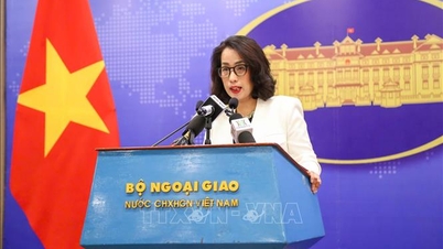 Kami menggesa Amerika Syarikat untuk menjalankan penilaian yang objektif dan seimbang terhadap pencapaian Vietnam dalam melindungi hak harta intelek.