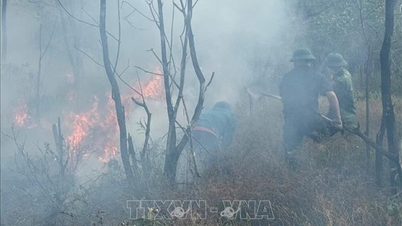 নাম কুয়া ভিয়েত কম্যুনের সংরক্ষিত বনাঞ্চলে লাগা দাবানল দ্রুত নিয়ন্ত্রণে এনে নির্বাপিত করা হয়েছে।
