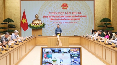 Accelerating the removal of the IUU "yellow card": Vietnam has entered and is entering a decisive phase in 2026.