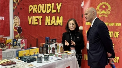 Vietnamese businesses increase their presence in SIAL Canada.