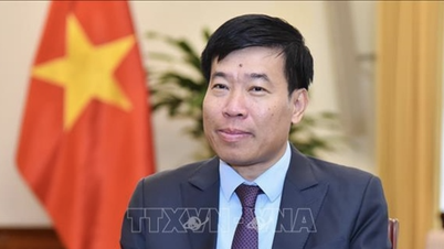 Kiến tạo xung lực mới và định hình khuôn khổ hợp tác Việt Nam - Ấn Độ lên tầm cao mới