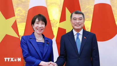 Una vista de la reunión entre el Primer Ministro Le Minh Hung y el Primer Ministro de Japón.