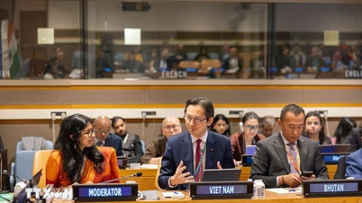 Vietnam participates in the seminar commemorating the United Nations Vesak Day.