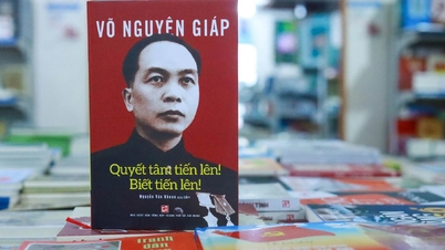 Vo Nguyễn Giap tábornok - Az általa hátrahagyott értékek.