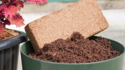 Khai mở giá trị mới cho nông sản Việt từ phụ phẩm nông nghiệp