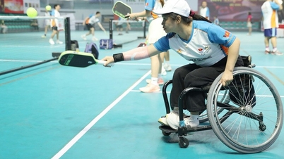 Para Natuh Pickleball Bac Ninh 2026, sebuah turnamen yang menyebarkan pesan inklusi dan berbagi.