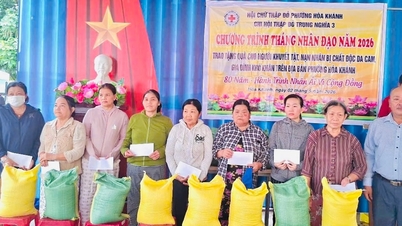 Offrir des dons caritatifs et fournir une aide pour les réparations de maisons aux ménages défavorisés du quartier de Hoa Khanh.