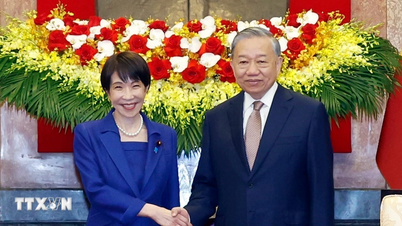 Pozvednutí komplexního strategického partnerství mezi Vietnamem a Japonskem na novou úroveň
