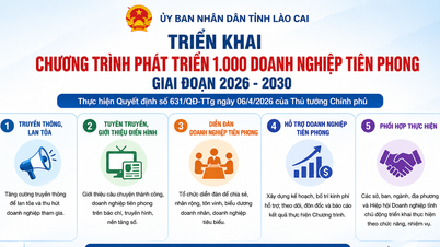 Lao Cai: Melaksanakan Program untuk Membangunkan 1,000 Perusahaan Perintis dalam tempoh 2026 - 2030
