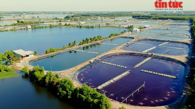 Technologie tilt de aquacultuursector naar een hoger niveau - Deel 1: De positie van een belangrijke economische sector bevestigen.