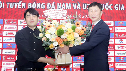 Antrenör Kim Sang Sik için Vietnam'da iki başarılı yıl.