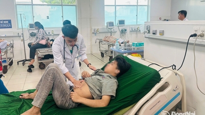 Dong Nai ensures good emergency medical services and treatment for the people during the holiday.