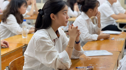 많은 교사 양성 대학들이 초등교육 전공 학생 선발 시 A00 및 C00 과목 조합을 폐지하고 있습니다.