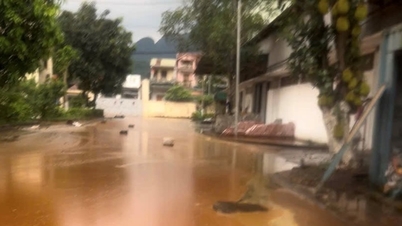 Un fulmine ha perforato un serbatoio di stoccaggio in uno zuccherificio a Nghe An, provocando la fuoriuscita di 2.000 tonnellate di melassa.