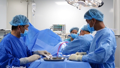 Dong Nai Healthcare: От институциональных прорывов к повышению социального благополучия (Часть 1)