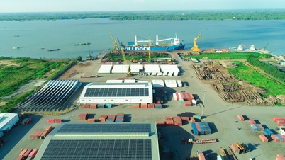Hafen von Can Tho: Ein Meilenstein im Jahr 2025 – eine bahnbrechende Grundlage für grüne und digitale Entwicklung.