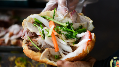 Turistas ocidentais elogiaram o banh mi, dizendo que é o melhor que já comeram no Vietnã.