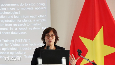 Vietnam-Belgien Biotechnologiebrücke: Vernetzung für eine nachhaltige Landwirtschaft